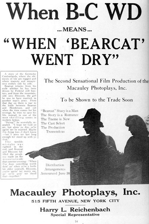 Movie poster for When Bearcat Went Dry (1919)