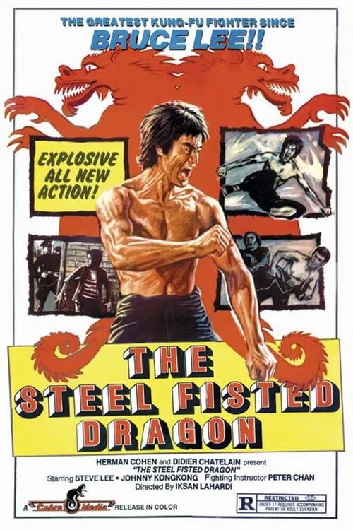 Movie poster for The Steel Fisted Dragon (1977)