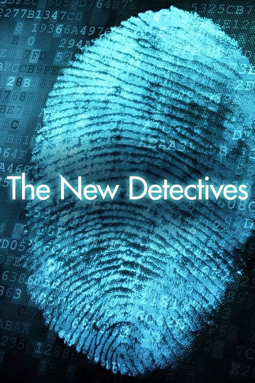 Series poster for The New Detectives (1996)