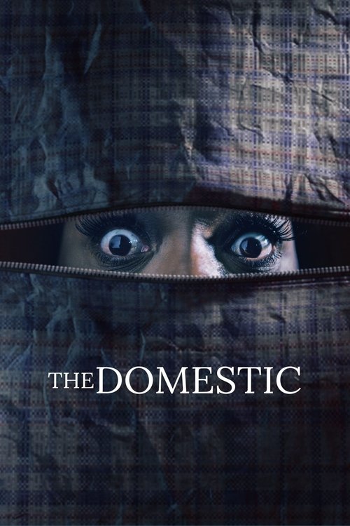 Movie poster for The Domestic (2022)