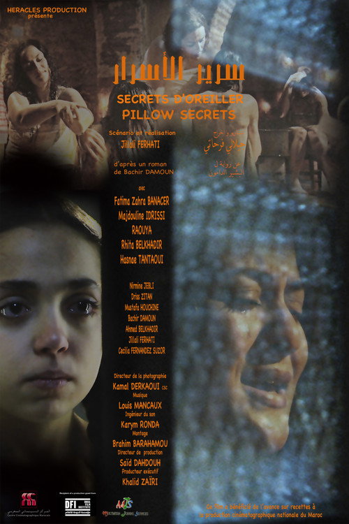 Movie poster for Pillow Secrets (2013)