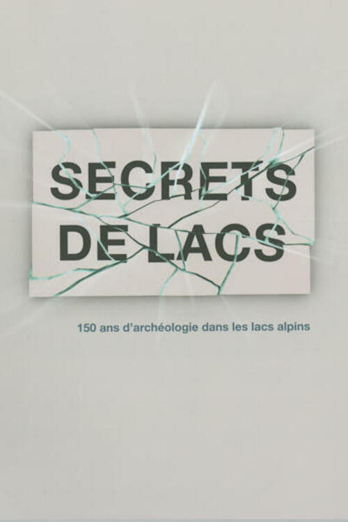 Movie poster for Secrets de lac (2006)