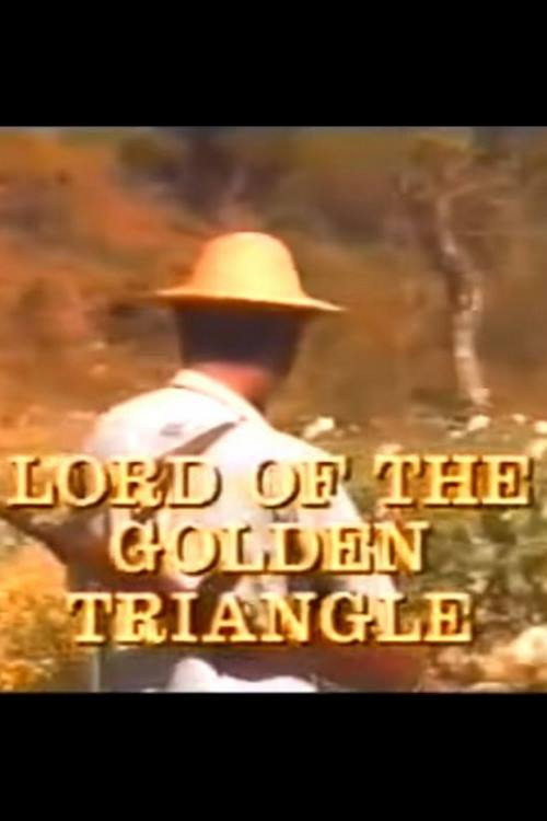 Movie poster for Lord of the Golden Triangle (1989)