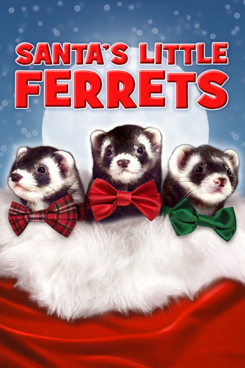 Movie poster for Santa's Little Ferrets (2014)