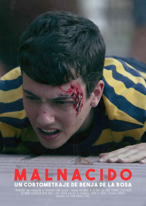 Movie poster for Malnacido (2018)