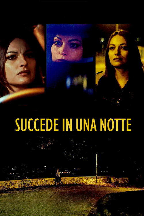 Movie poster for Succede in una notte (2025)