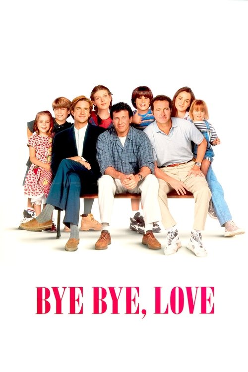 Movie poster for Bye Bye Love (1995)