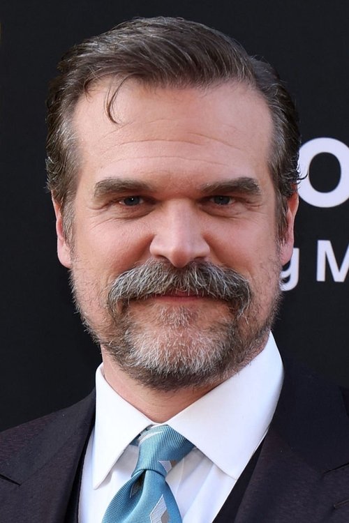 David Harbour profile