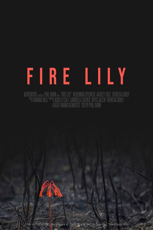 Movie poster for Fire Lily