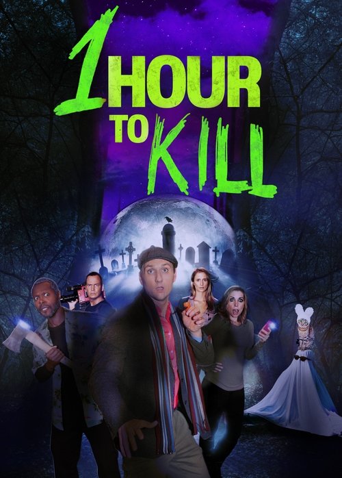 Movie poster for 1 Hour to Kill (2025)