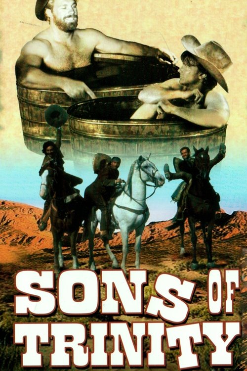 Movie poster for Sons of Trinity (1995)
