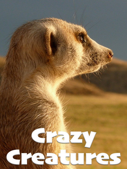 Movie poster for Crazy Creatures (2018)