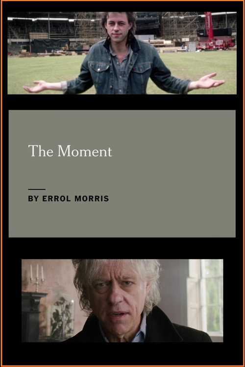 Movie poster for Bob Geldof: The Moment (2014)