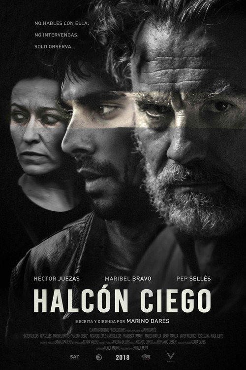 Movie poster for Blind Hawk (2018)