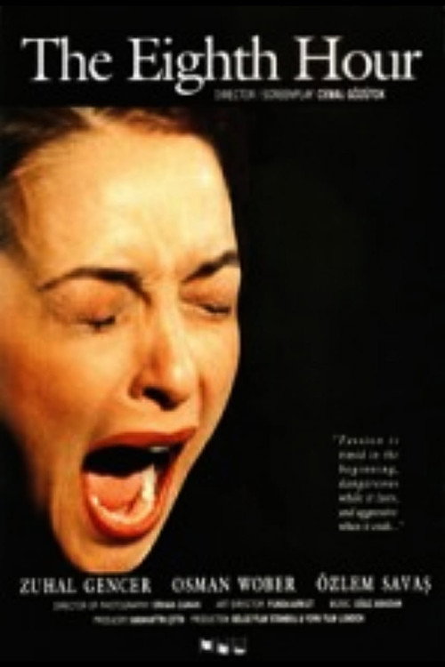 Movie poster for The Eighth Hour (1995)