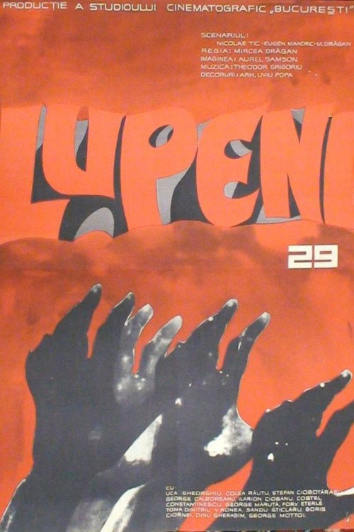 Movie poster for Lupeni 29 (1963)