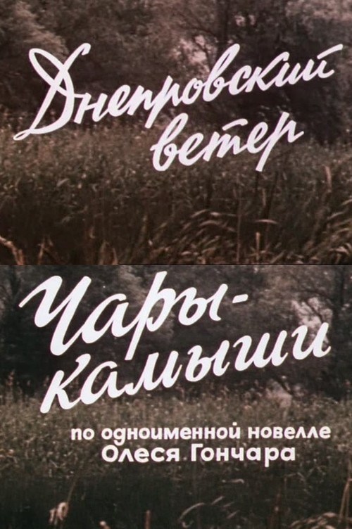 Днепровский ветер. Чары-камыши. poster