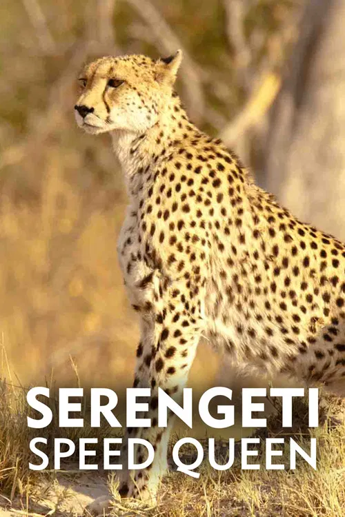 Movie poster for Serengeti Speed Queen (2020)