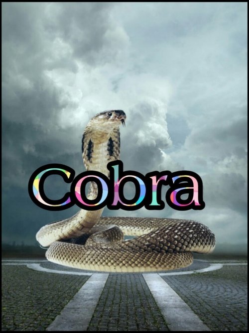 Movie poster for Cobra (1997)
