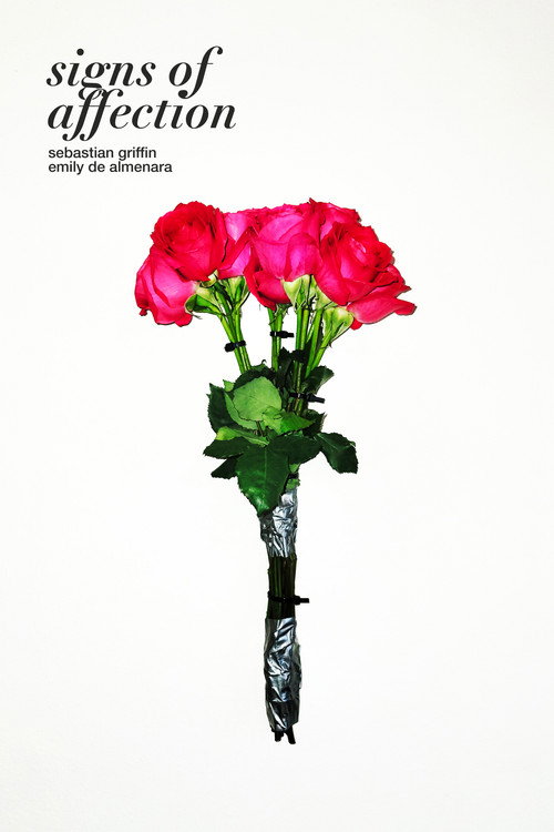 Movie poster for Signs of Affection (2023)