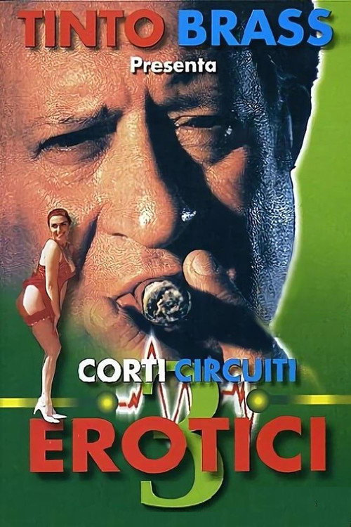 Movie poster for Erotic Short Circuits Vol.3 (1998)