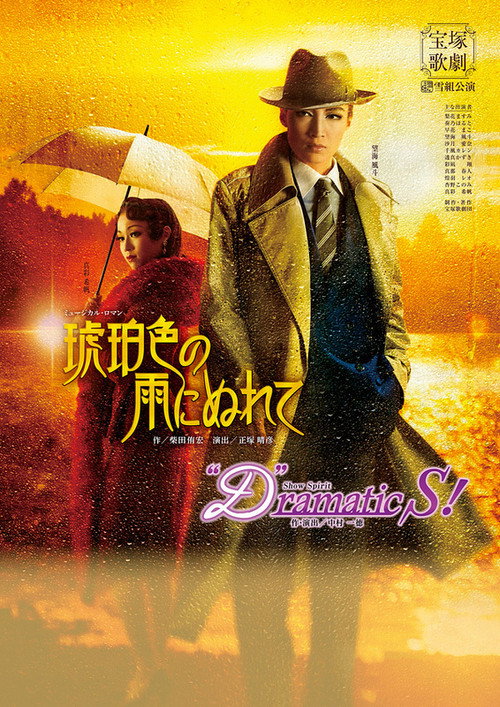 Movie poster for In the Amber-Hued Rain (2017)