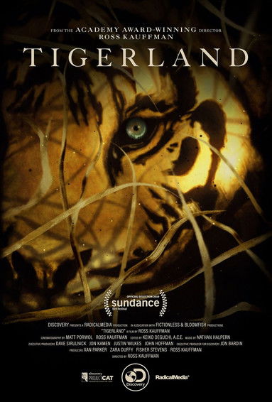 Movie poster for Tigerland (2019)