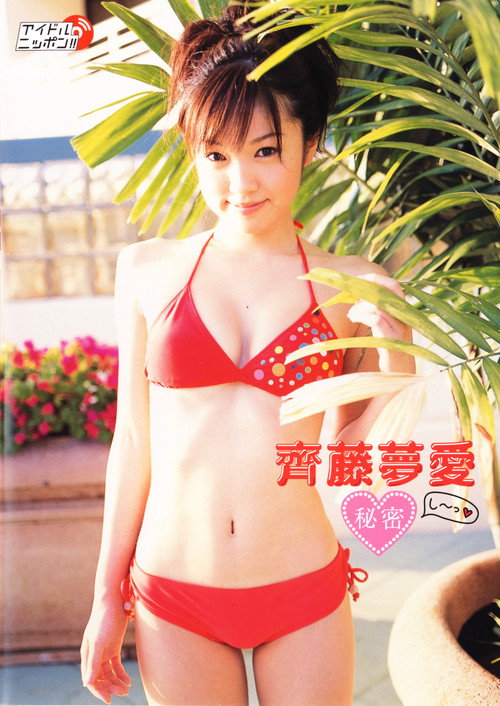 Movie poster for 齊藤夢愛 秘密 (2006)