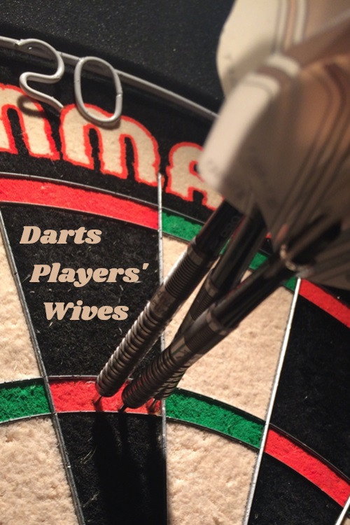Movie poster for Darts Players' Wives (2005)