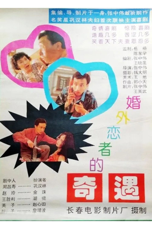 Movie poster for 婚外恋者的奇遇 (1994)