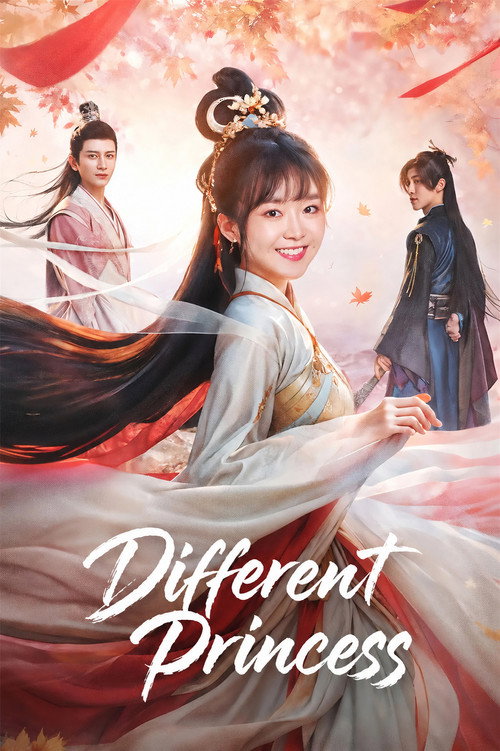 Series poster for Different Princess (2024)