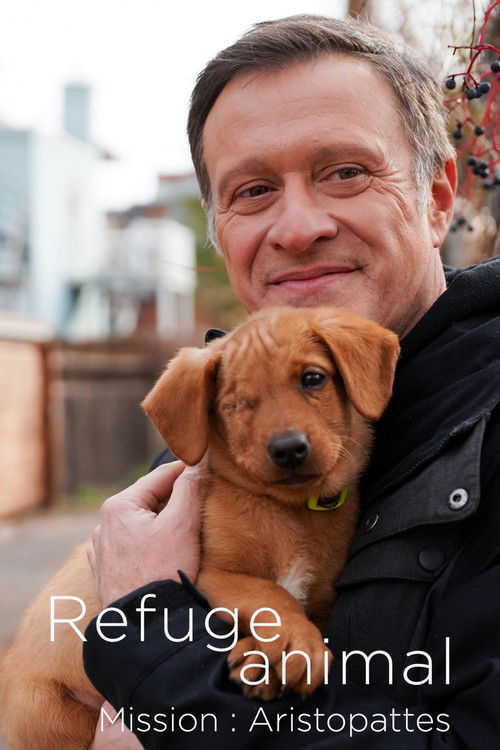 Refuge animal : Mission Aristopattes poster
