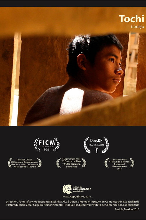 Movie poster for Rabbit (2013)