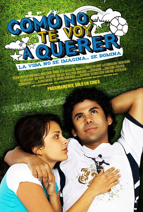 Movie poster for How Could I Not Love You? (2008)