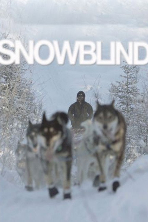 Movie poster for Snowblind (2009)