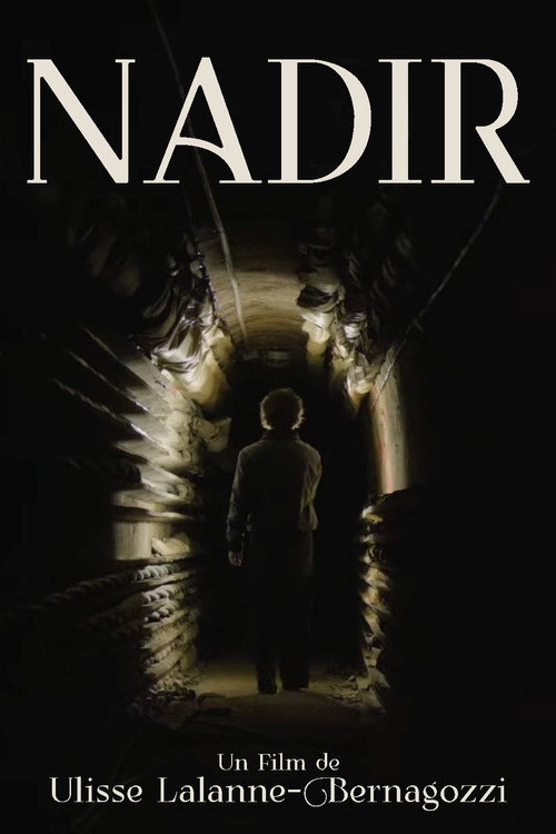 Movie poster for Nadir