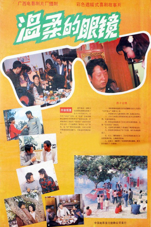Movie poster for 温柔的眼镜 (1987)
