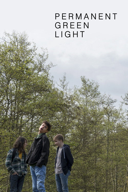 Movie poster for Permanent Green Light (2019)