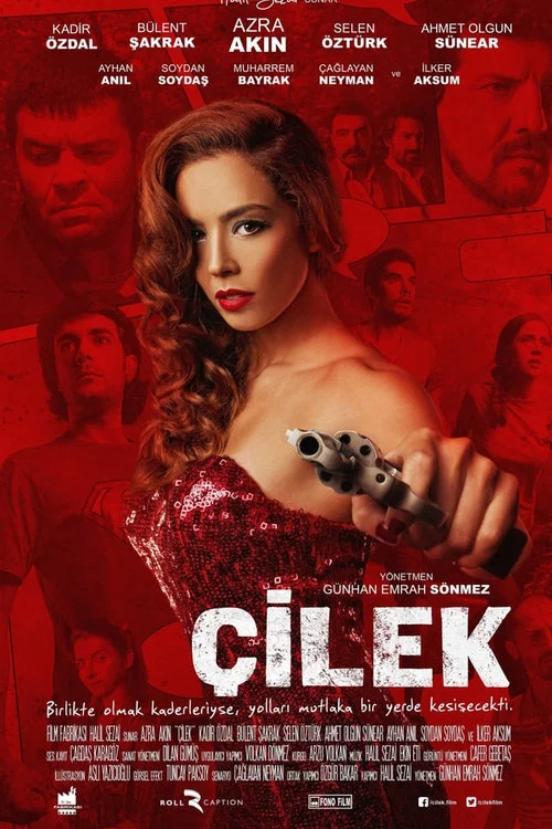Movie poster for Çilek (2014)