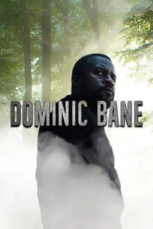 Movie poster for Dominic Bane (2024)