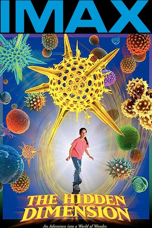 Movie poster for The Hidden Dimension (1998)