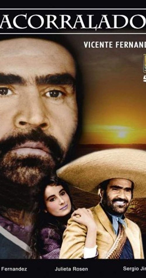 Movie poster for Acorralado (1989)