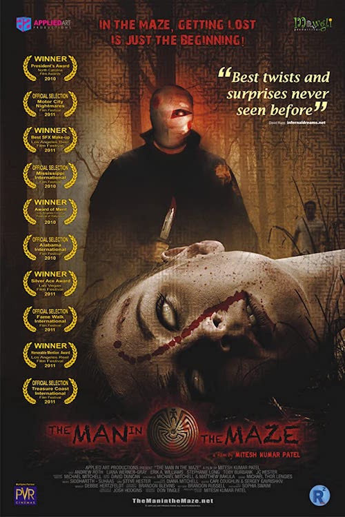 Movie poster for The Man in the Maze (2011)