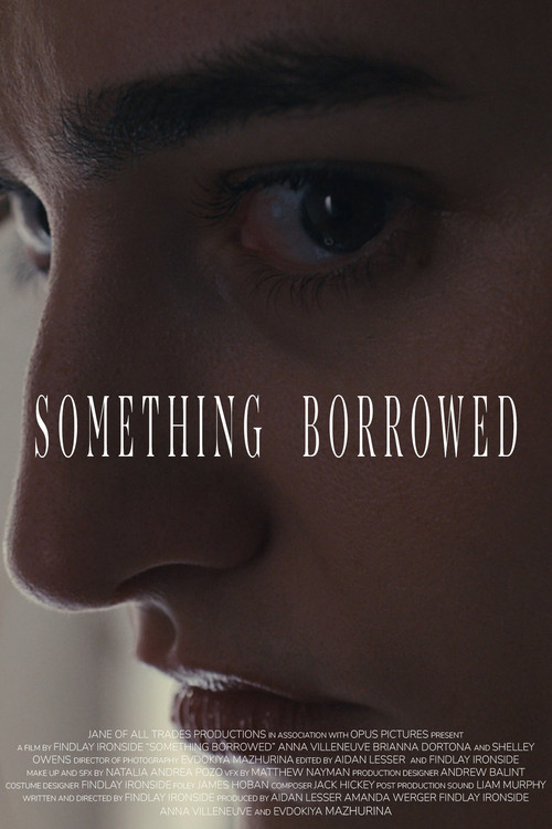 Movie poster for Something Borrowed