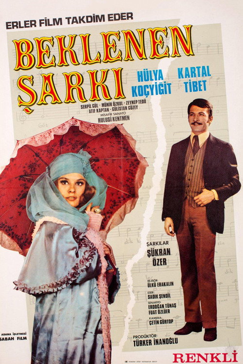 Movie poster for Beklenen Şarkı (1971)