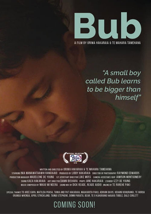 Movie poster for Bub (2019)