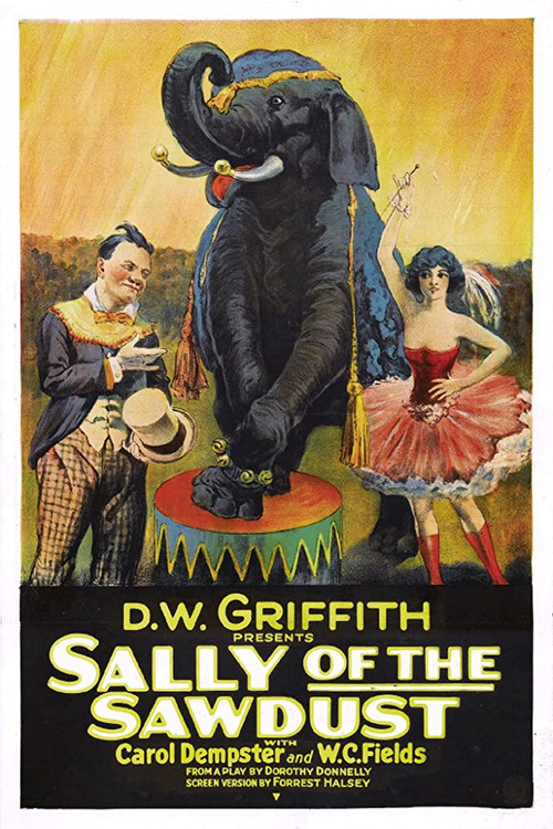 Movie poster for Sally of the Sawdust (1925)