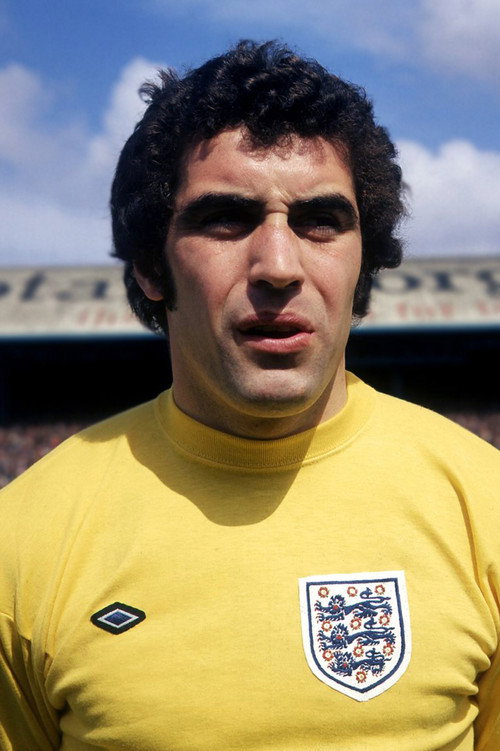 Photo of Peter Shilton, Acting