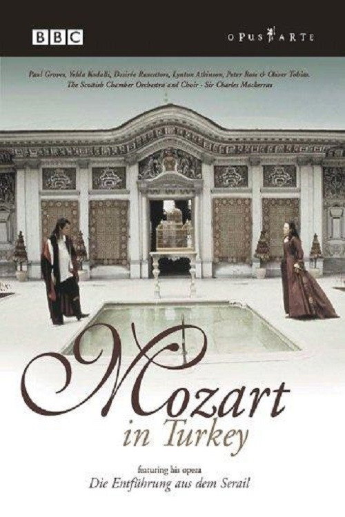 Movie poster for Mozart in Turkey (2000)