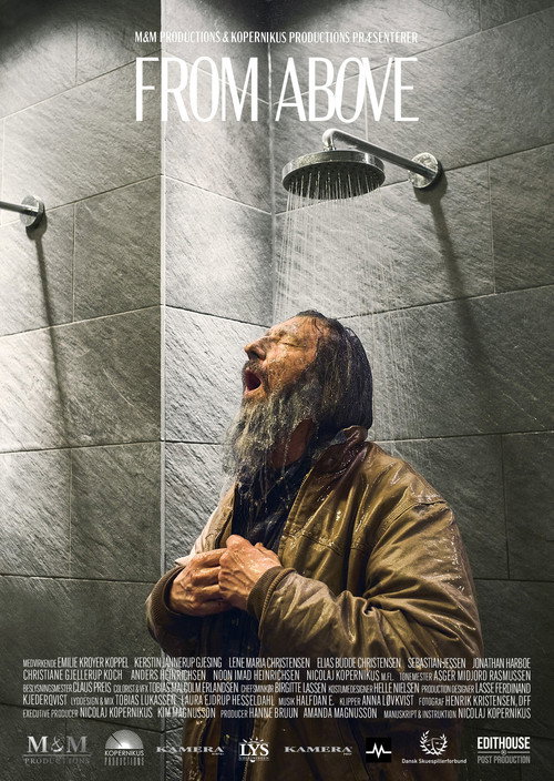 Movie poster for From Above (2023)